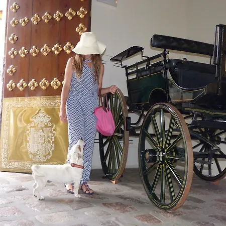 Otel Casas De La Juderia De