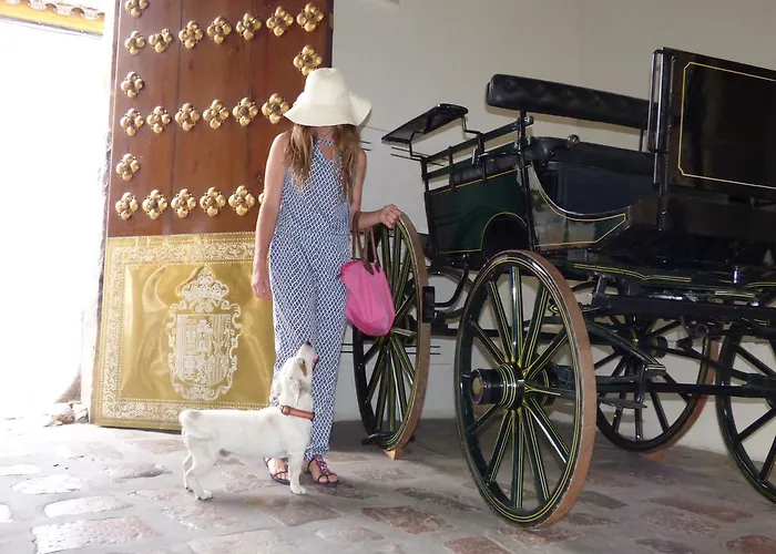 Отель Casas De La Juderia De